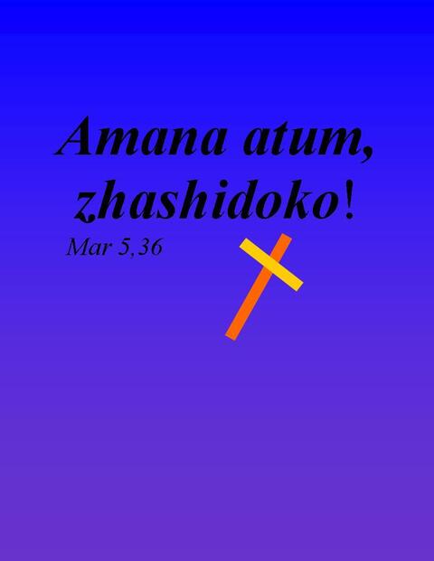 ዣሺዶኮ